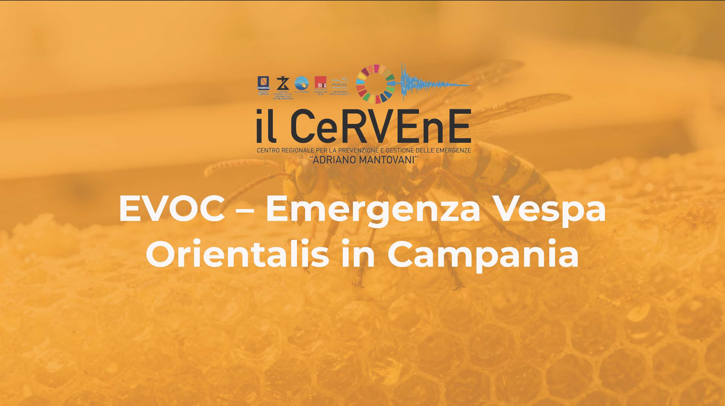 EVOC: From Crowdsourced Reports to Validated Territorial Intelligence preview